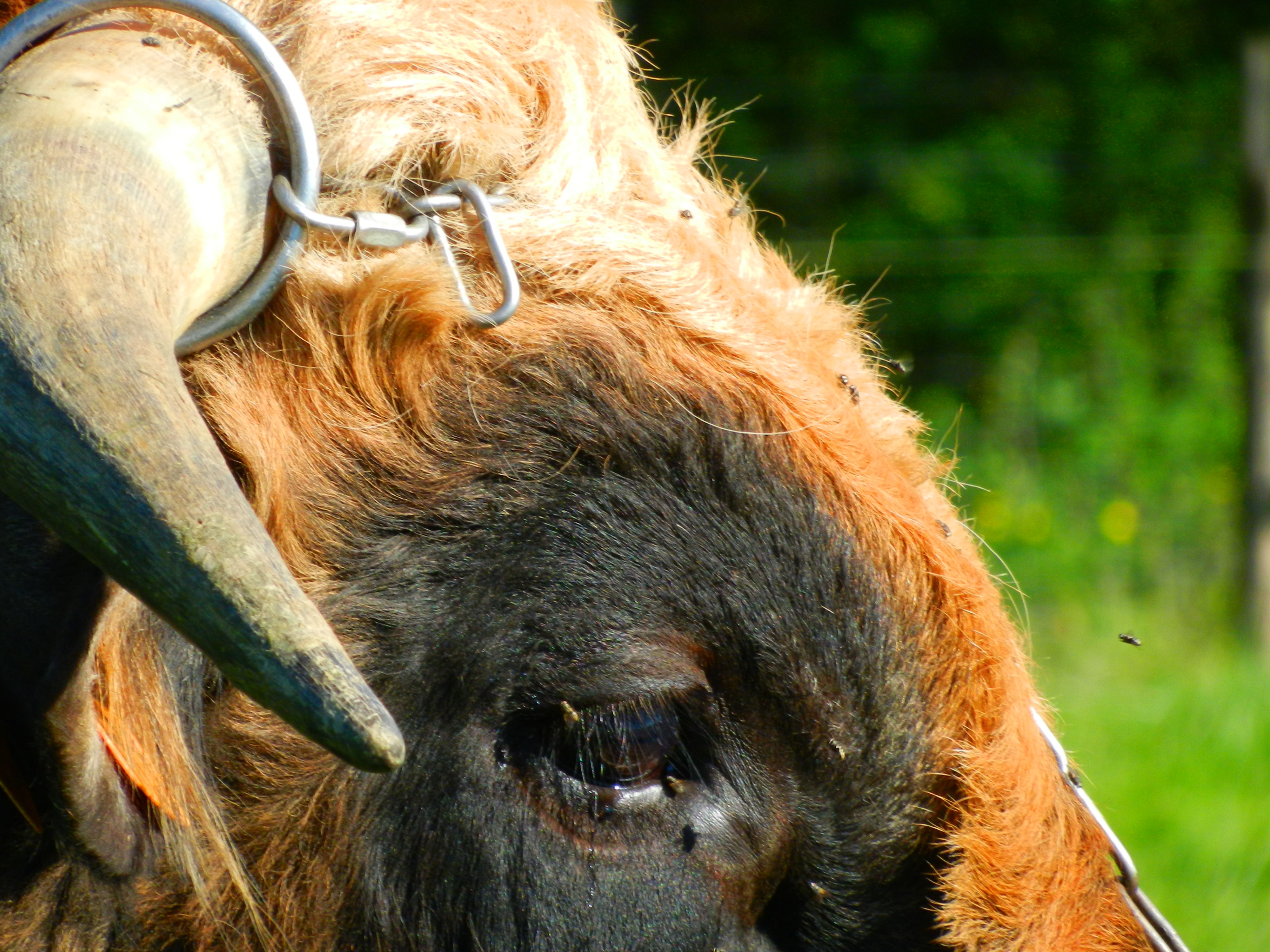 Ferme de Palayret - Magasin